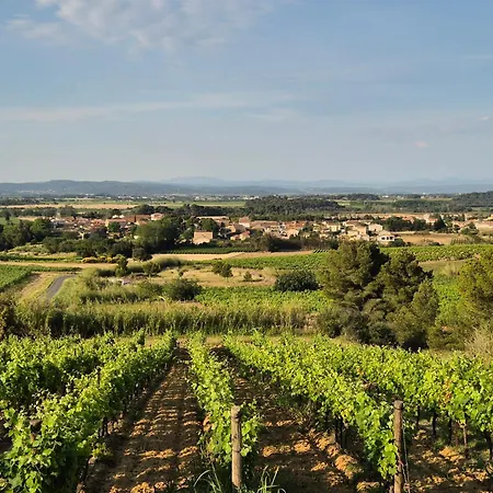 Vila Le Du Parc Roubia